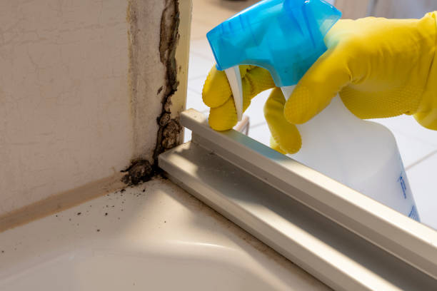 Best Industrial Mold Remediation  in Greenville, IN